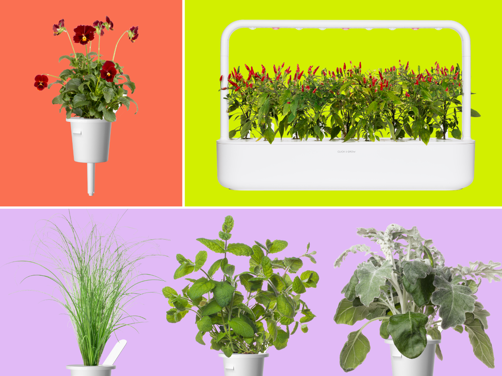 Click and Grow Plant Collage
