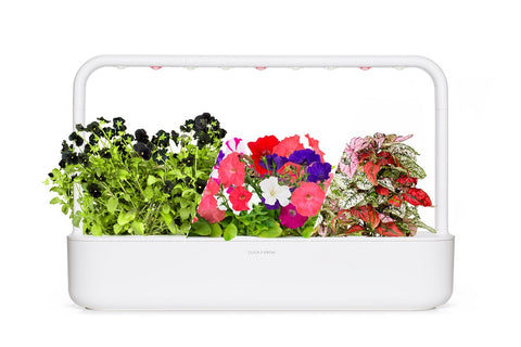 Click and Grow 'Big Vibrant Flower Kit' bundle