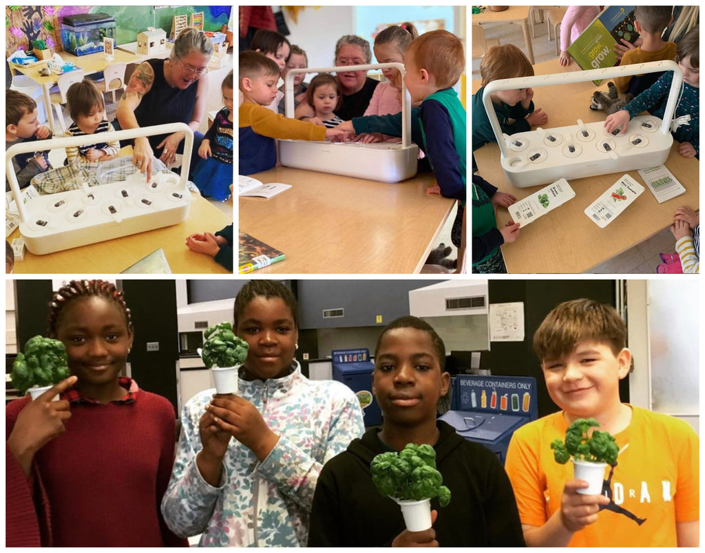 Schools using Click and Grow smart gardens.