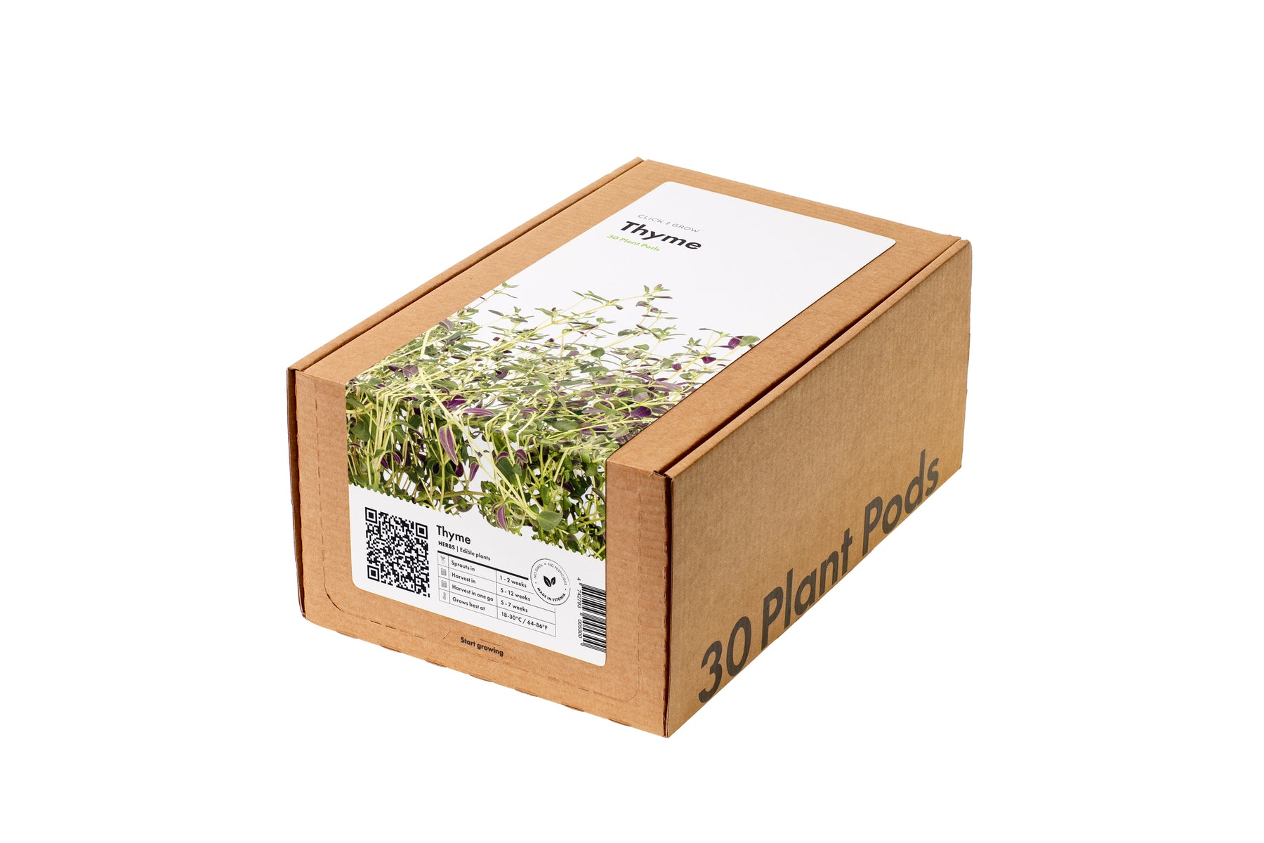 Thyme 30-pack