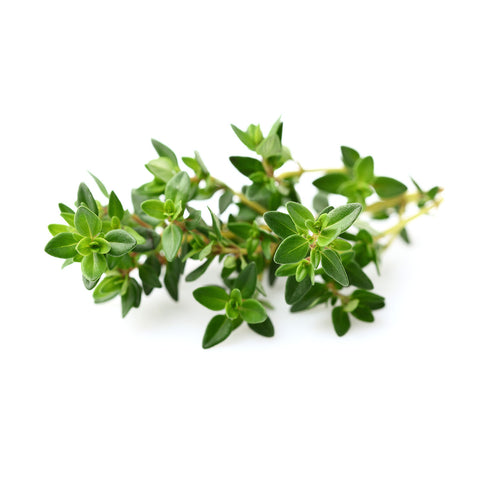 Click & Grow Thyme against a white backdrop.