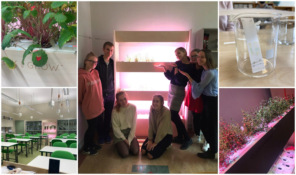Collage of a classroom, plants and students standing beside a Click & Grow Wall Farm.