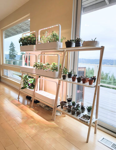 The Click & Grow Smart Garden 27 in a clean living space.