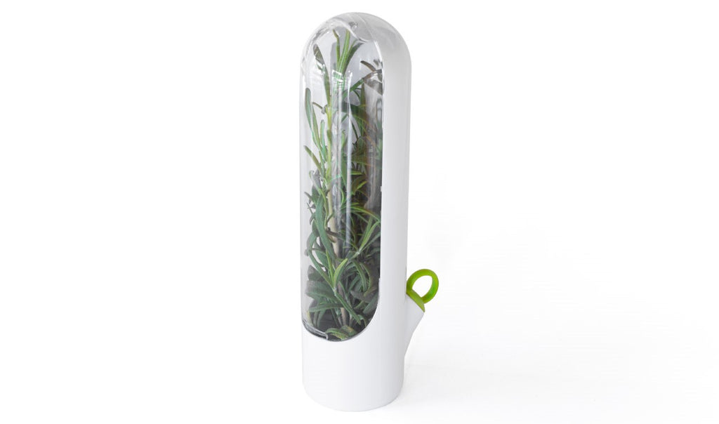 The Click & Grow Herb Saver capsule against a white backdrop.