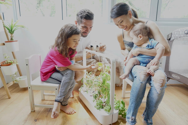 indoor garden