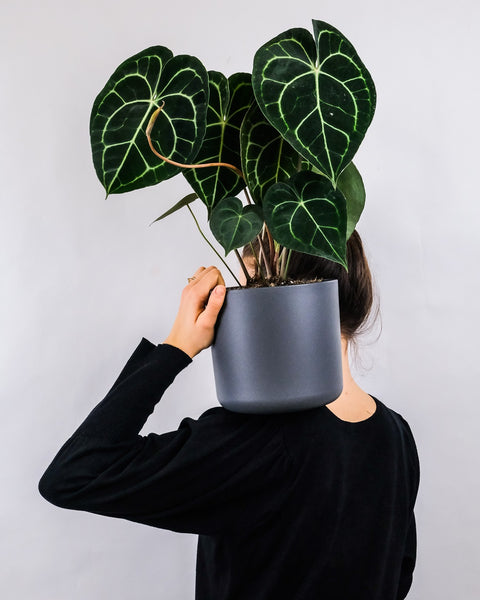 Girl holding a potted houseplant on her shoulder.