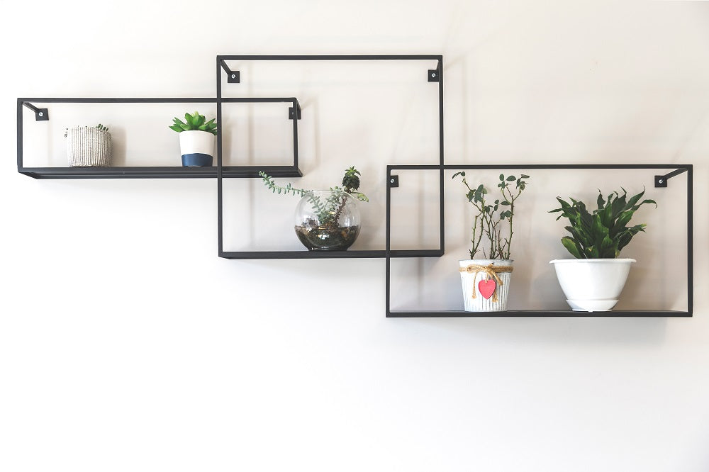 Metal open-frame shelves holding potted plants
