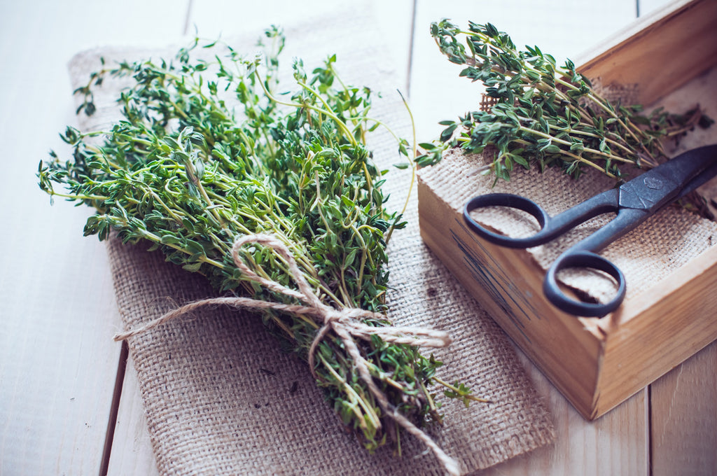 Sprig of herbs neatly arranged on a table alongside a black scissors.