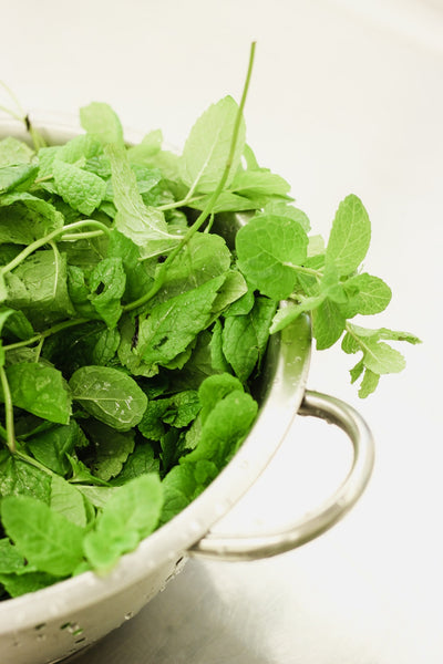 Fresh herbs in a bowl