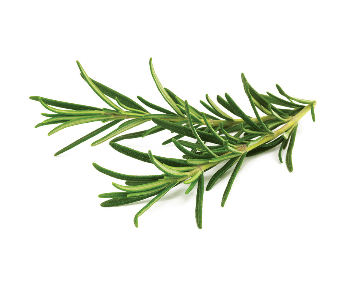 Rosemary