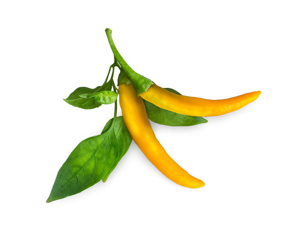 yellow pepper