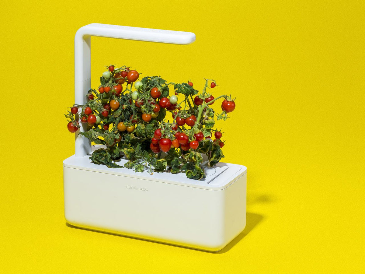 Easy to use indoor garden. Grow fresh herbs with the Click & Grow plant growing kit called the smart indoor garden. It's the best indoor garden available!