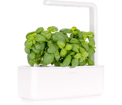 Indoor Herb Gardens And Indoor Gardening Kits Click Grow