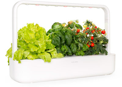 Indoor Herb Gardens And Indoor Gardening Kits Click Grow