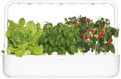 Indoor Herb Gardens And Indoor Gardening Kits Click Grow