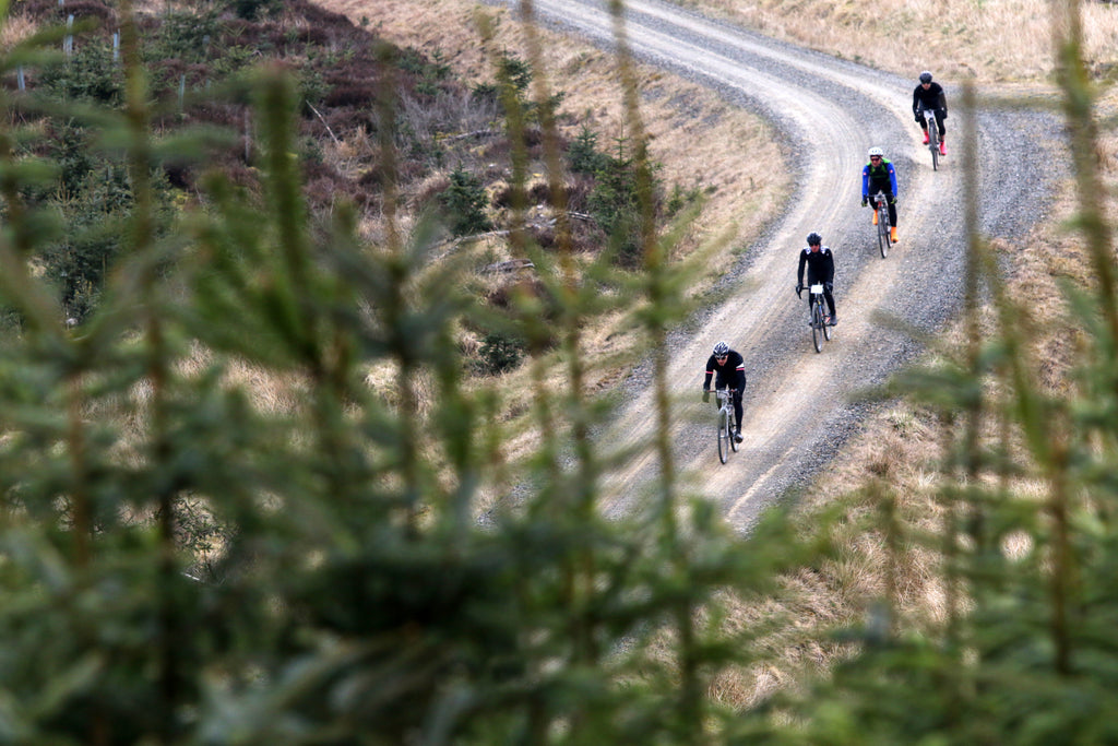 Looking through the trees to four gravel cyclists descending a fast and straight hill