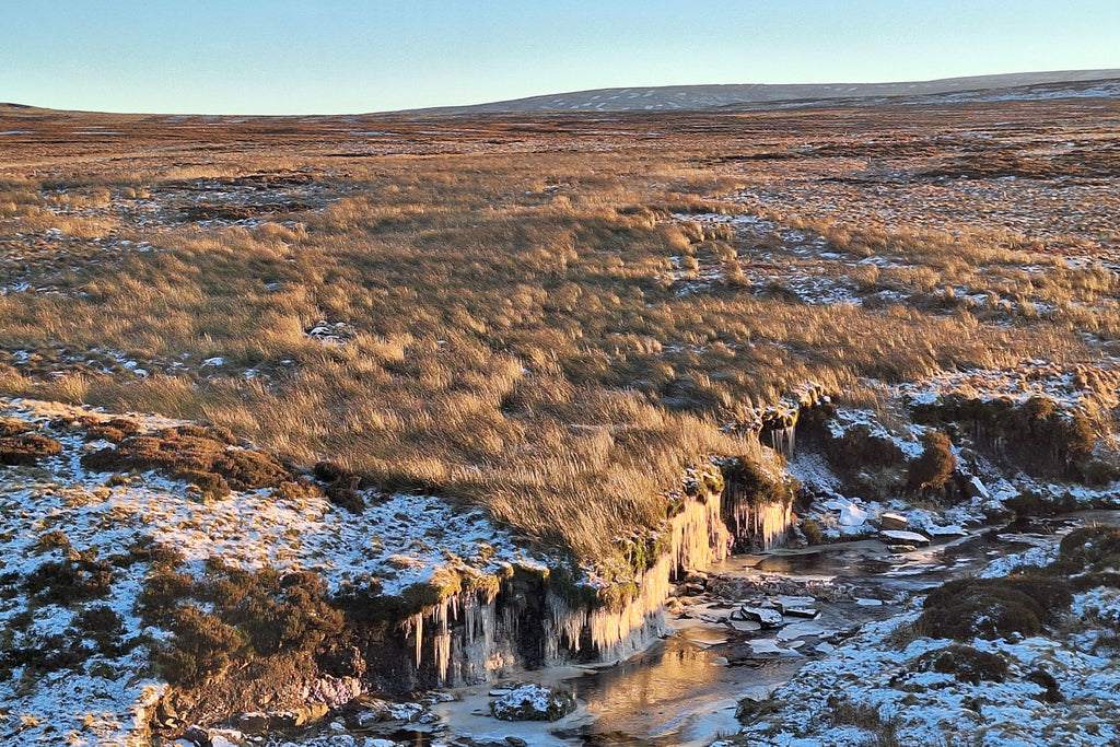 Icicles hang on the edge of a beck on frozen open moorland