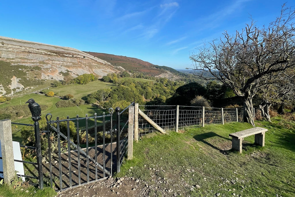 A metal gate on the edge of the fell side in North Wales