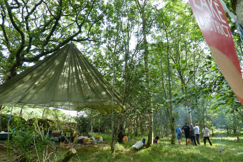 Woodland area with a canopy tent as people spend time in nature