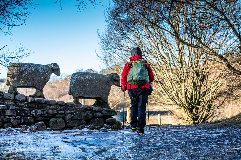 A trail runner passes by two 'stone sheep' sculptures near Langden Beck.