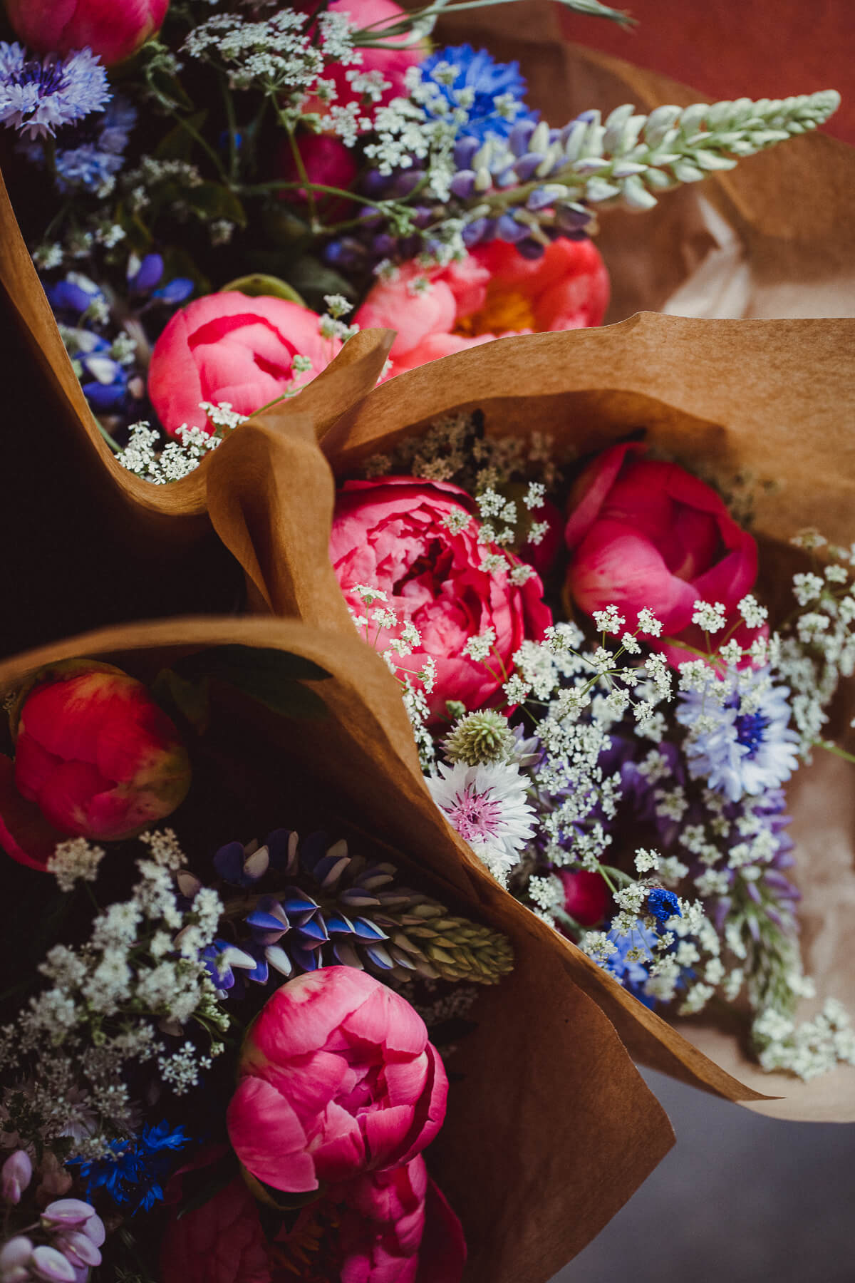 Katharina Reckendorfer „Blumenbund“ regionale Schnittblumen – diesellerie.com