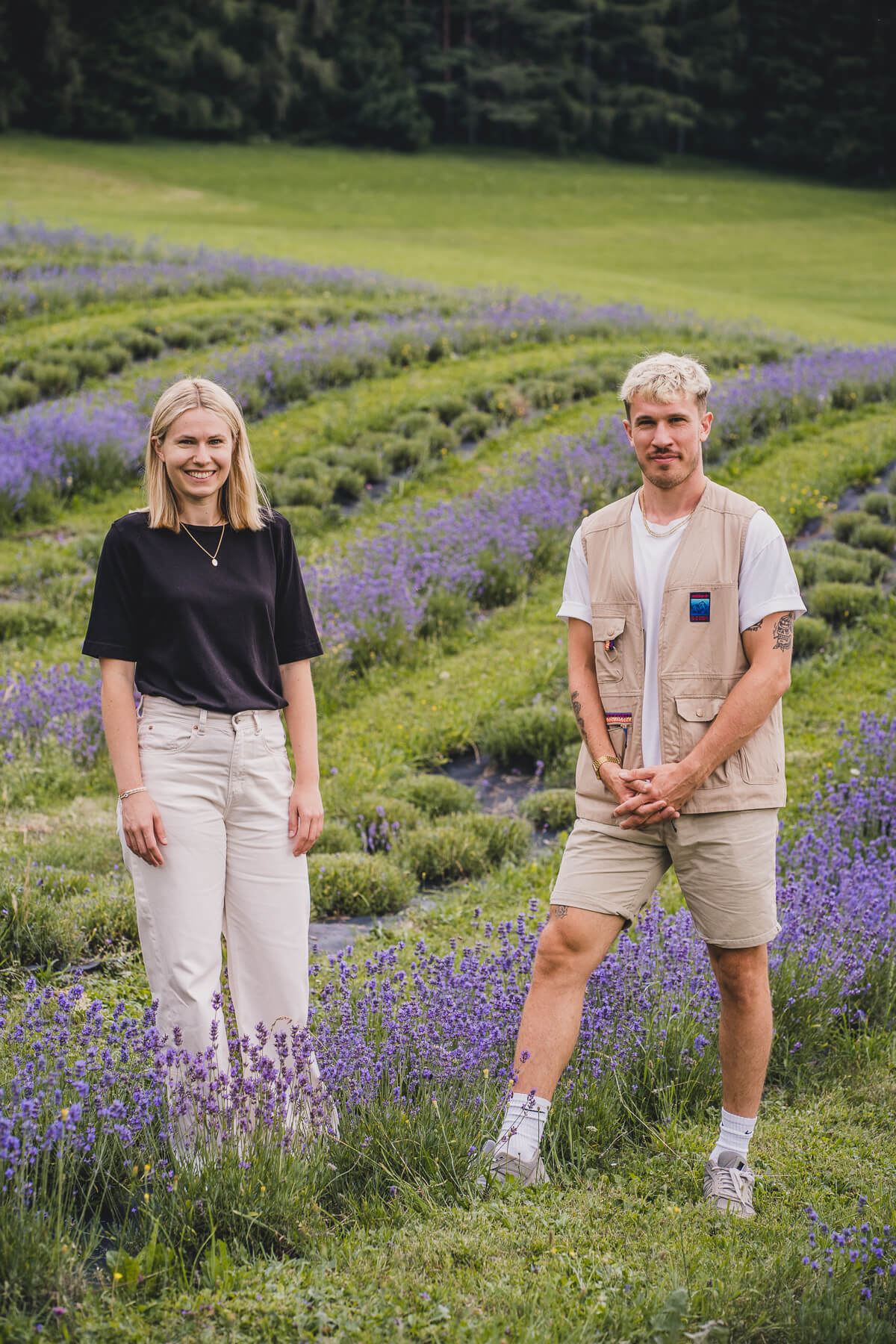 Lavendelernte „March“ Lavendel Naturkosmetik Österreich – diesellerie.com