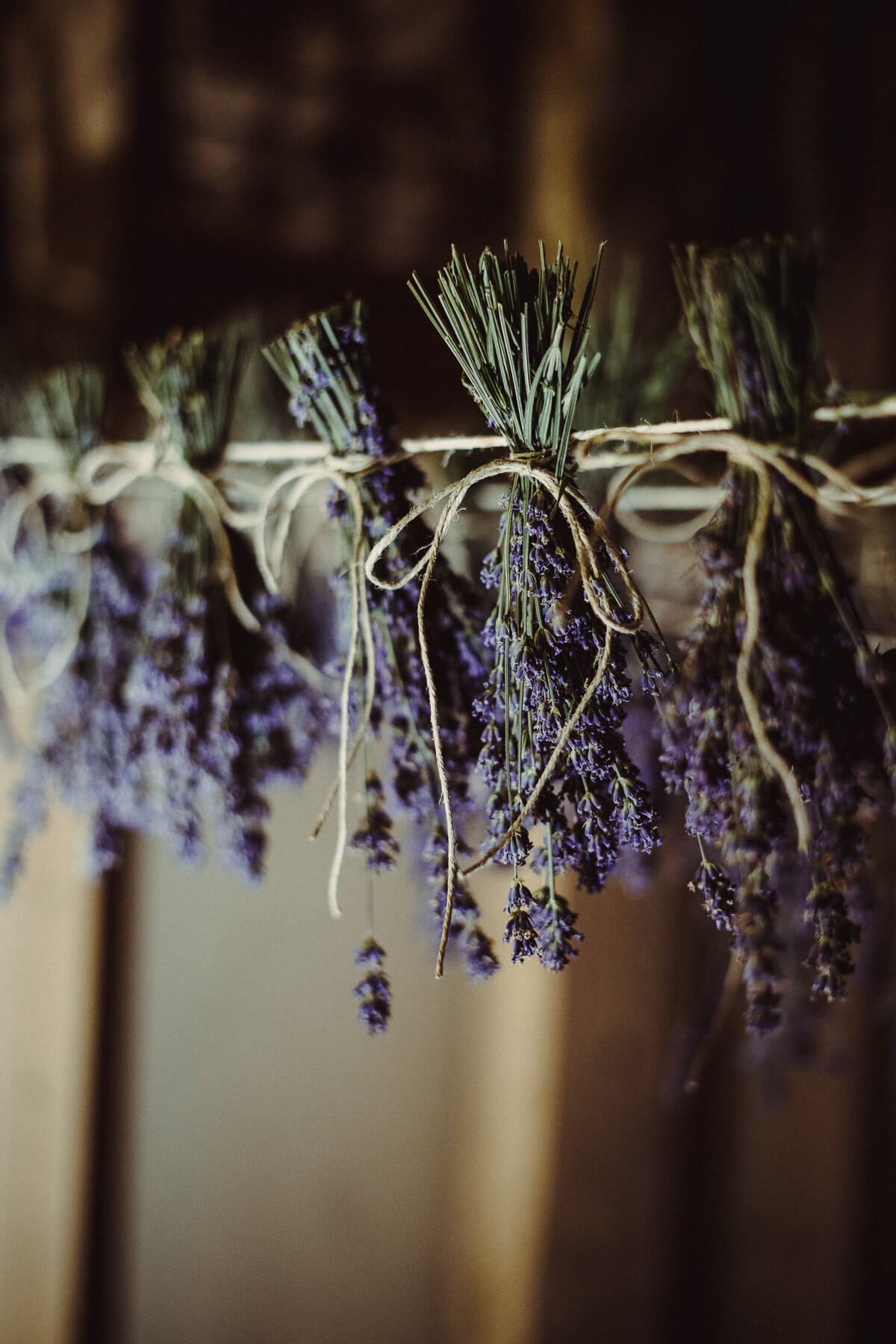 Lavendelernte „March“ Lavendel Naturkosmetik Österreich – diesellerie.com