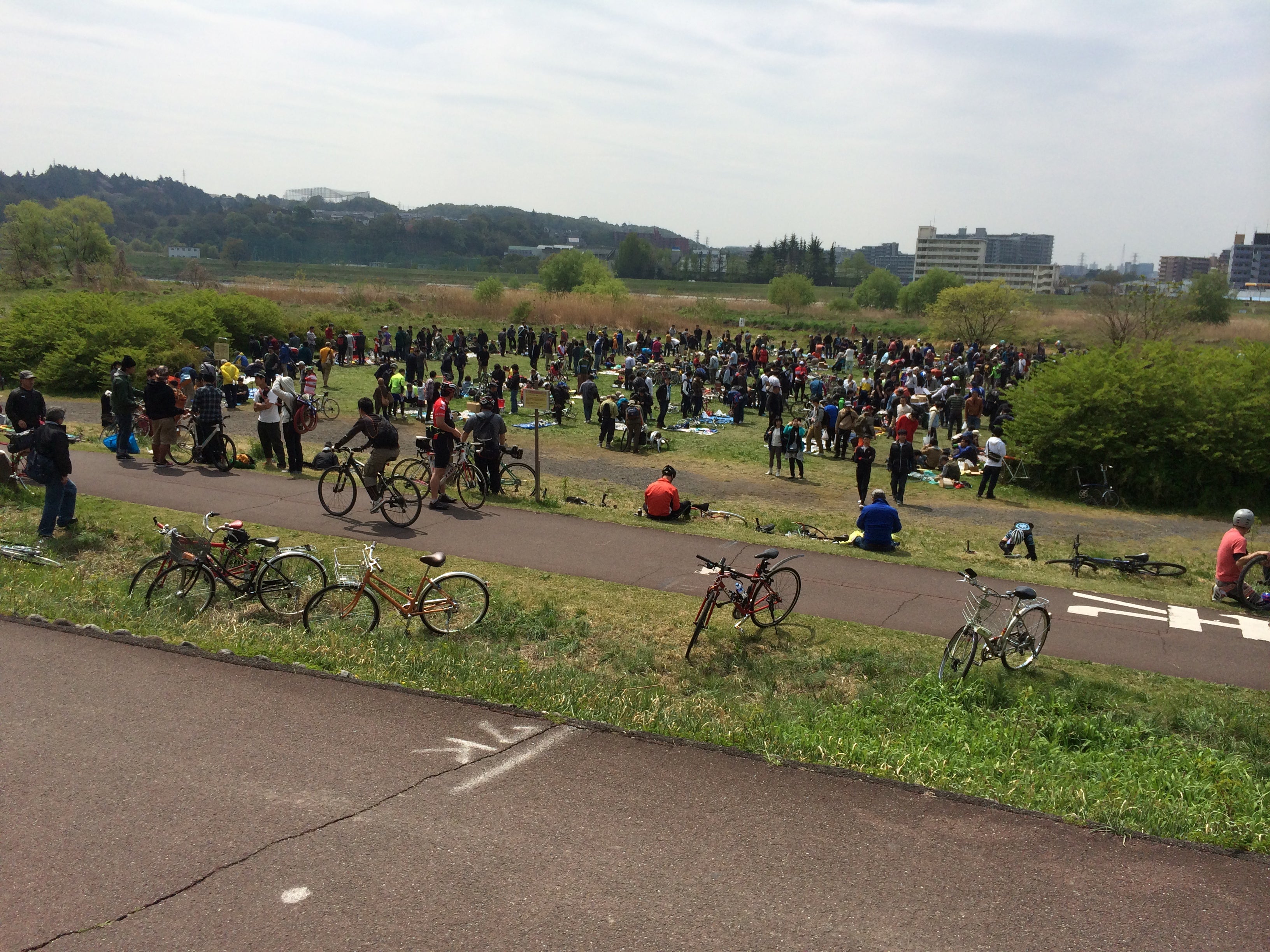 The Tokyo Bicycle Swap Meet, in a field way out at the end of the metro line next to the river.