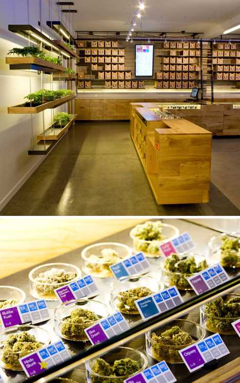 A high-design marijuana dispensary