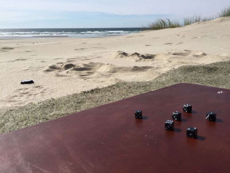 Playing Walnut Studiolo travel dice on the Oregon Coast beach