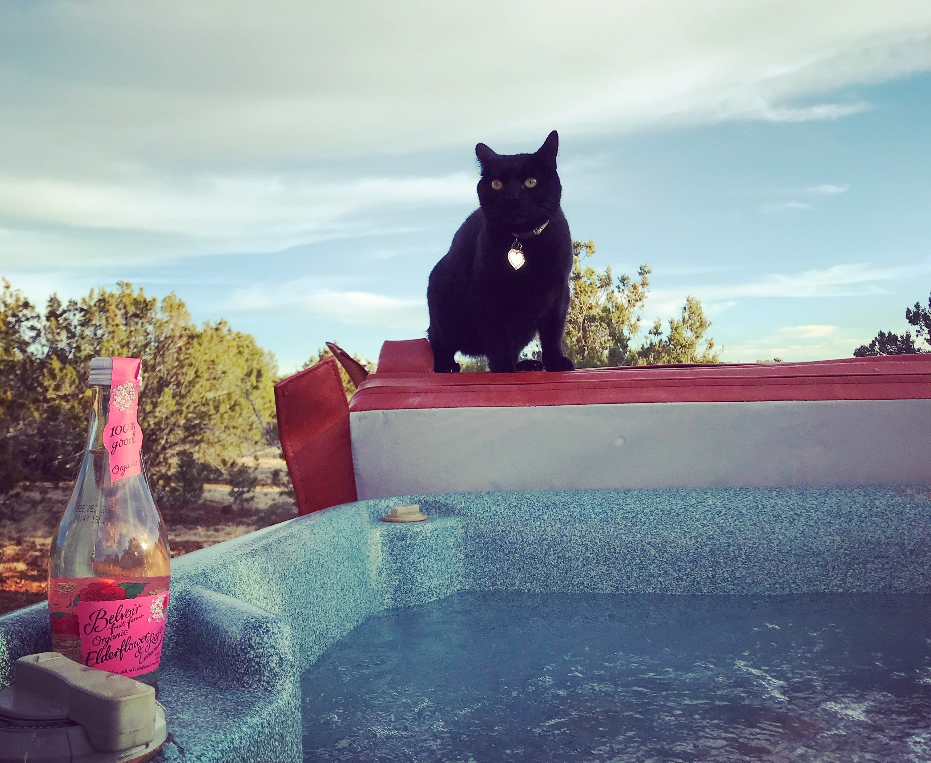 Hot tub cat at a remote cabin!