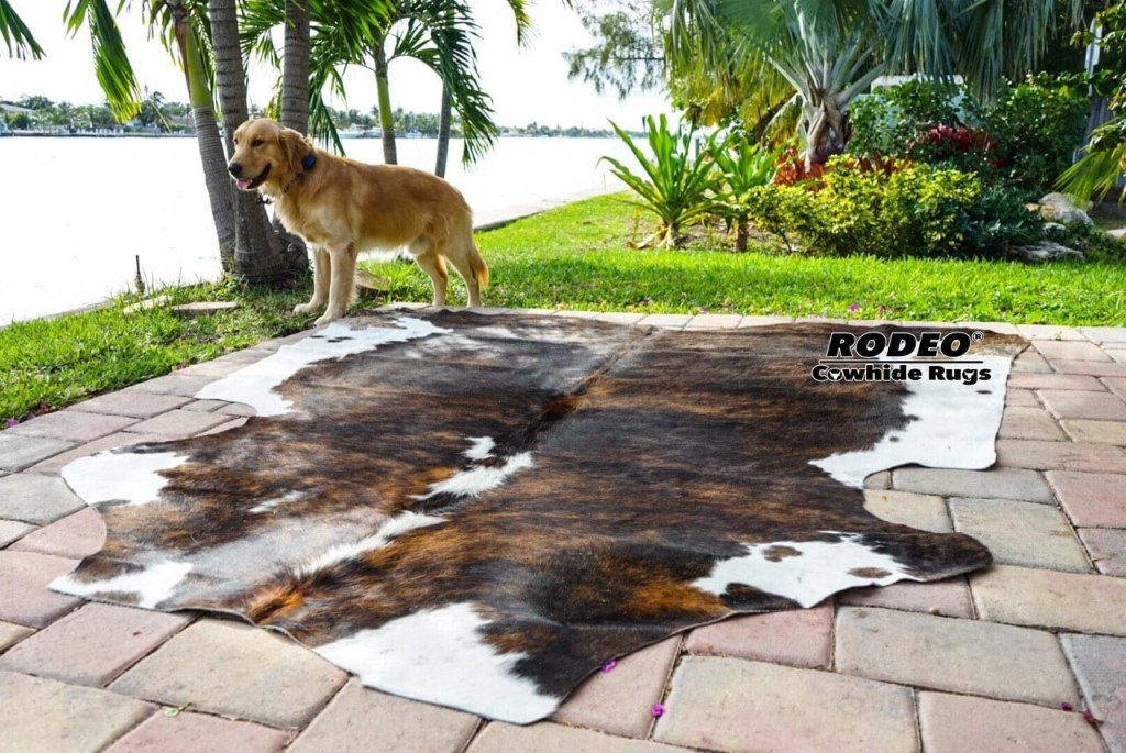 Hair-on Cow Hide on the Floor as a Rug