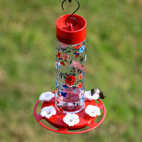 hummingbird feeder with ant moat