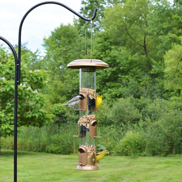 chickadee and goldfinches feeding from tube bird feeder