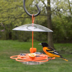 oriole bird feeder