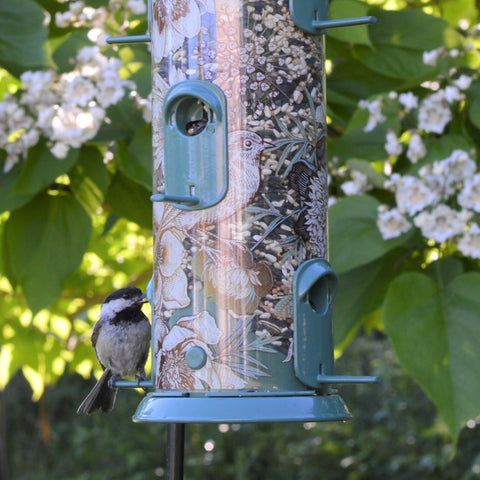 chickadee at tube bird feeder