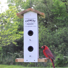 cardinal on vertical hopper feeder