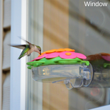 window hummingbird feeder