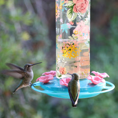 annas hummingbirds at hummingbird feeder