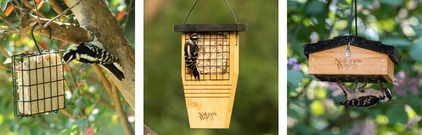 suet bird feeder