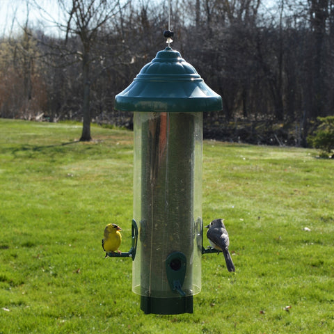 squirrel solutions squirrel proof bird feeder