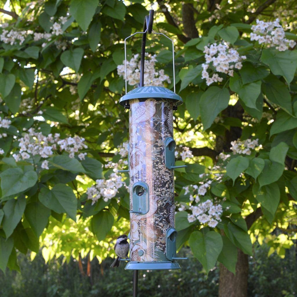 Best bird feeders for spring –