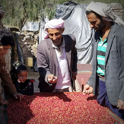 Yemeni Farmers checikng there 2021 coffee harvest