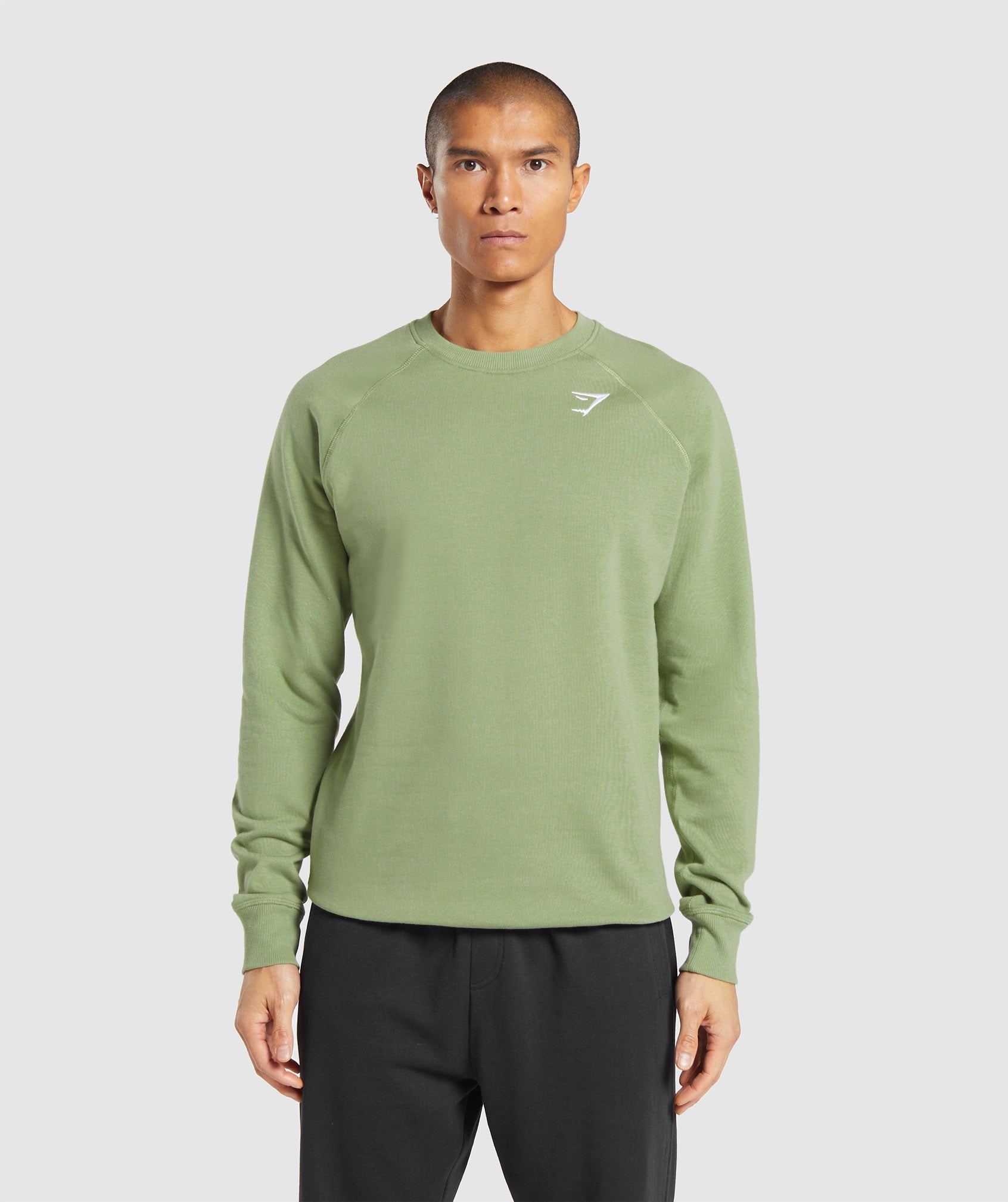 Crest Sweatshirt in Natural Sage Green is out of stock