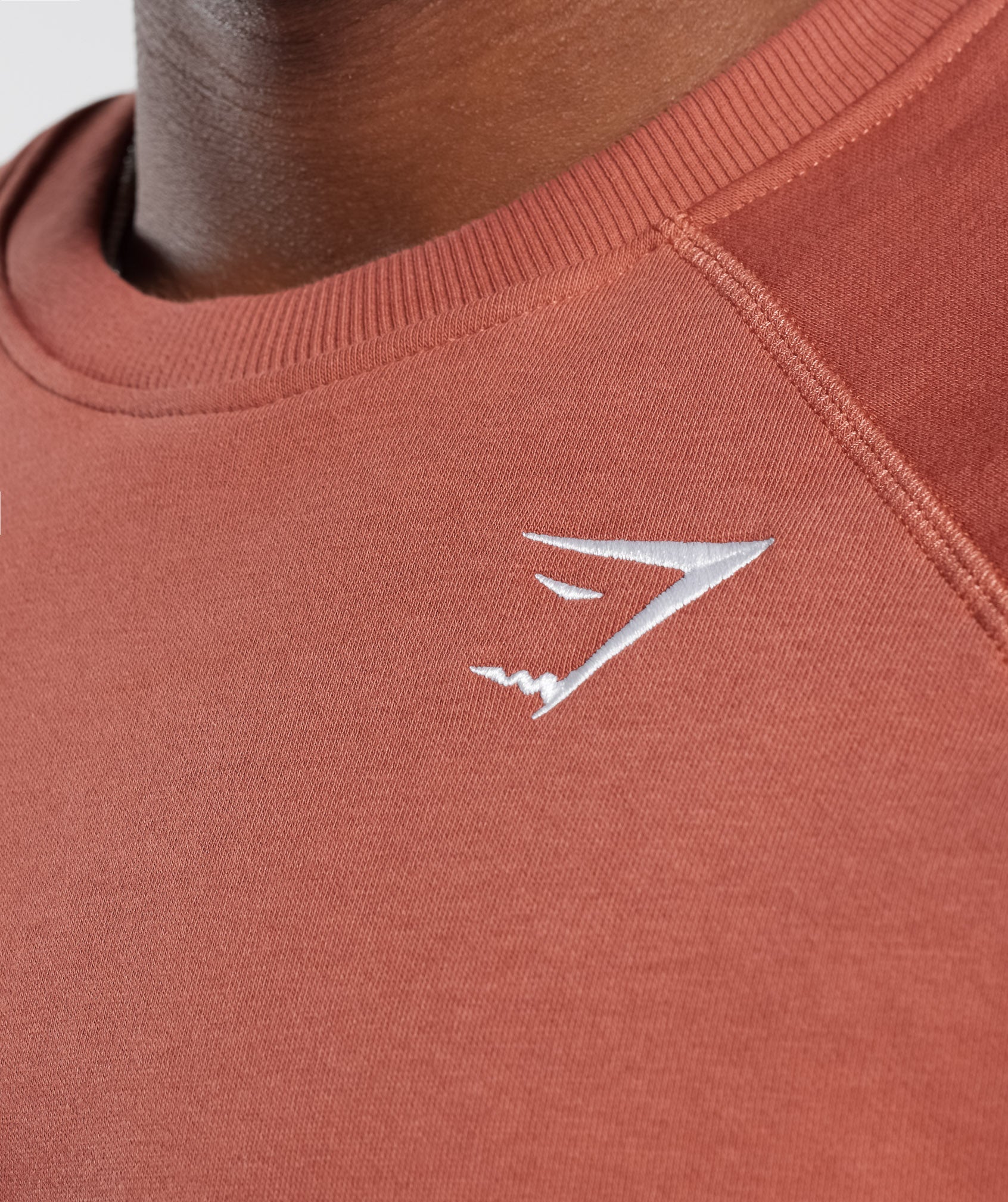 Crest Sweatshirt in Persimmon Red - view 5