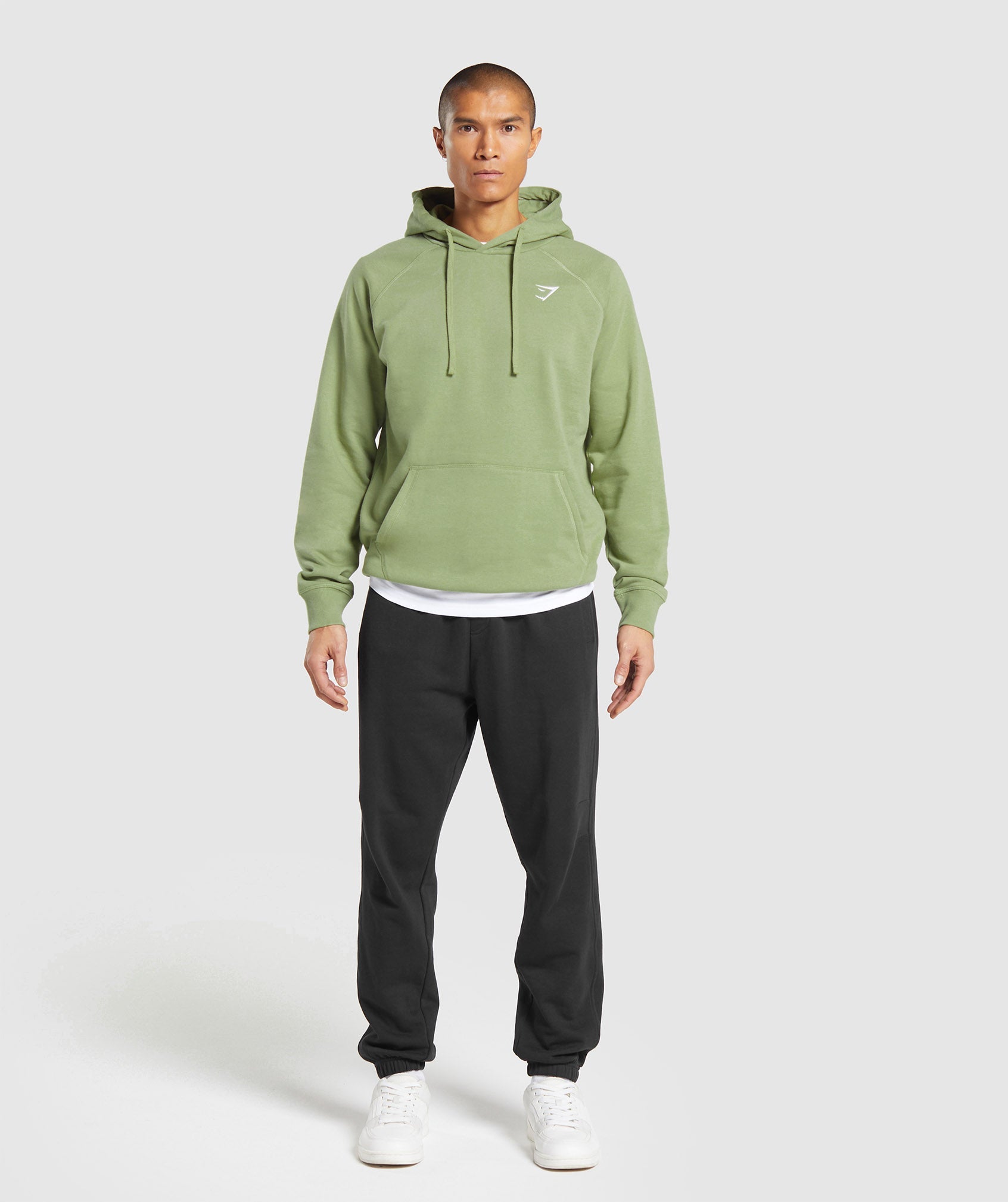 Crest Hoodie in Natural Sage Green - view 4