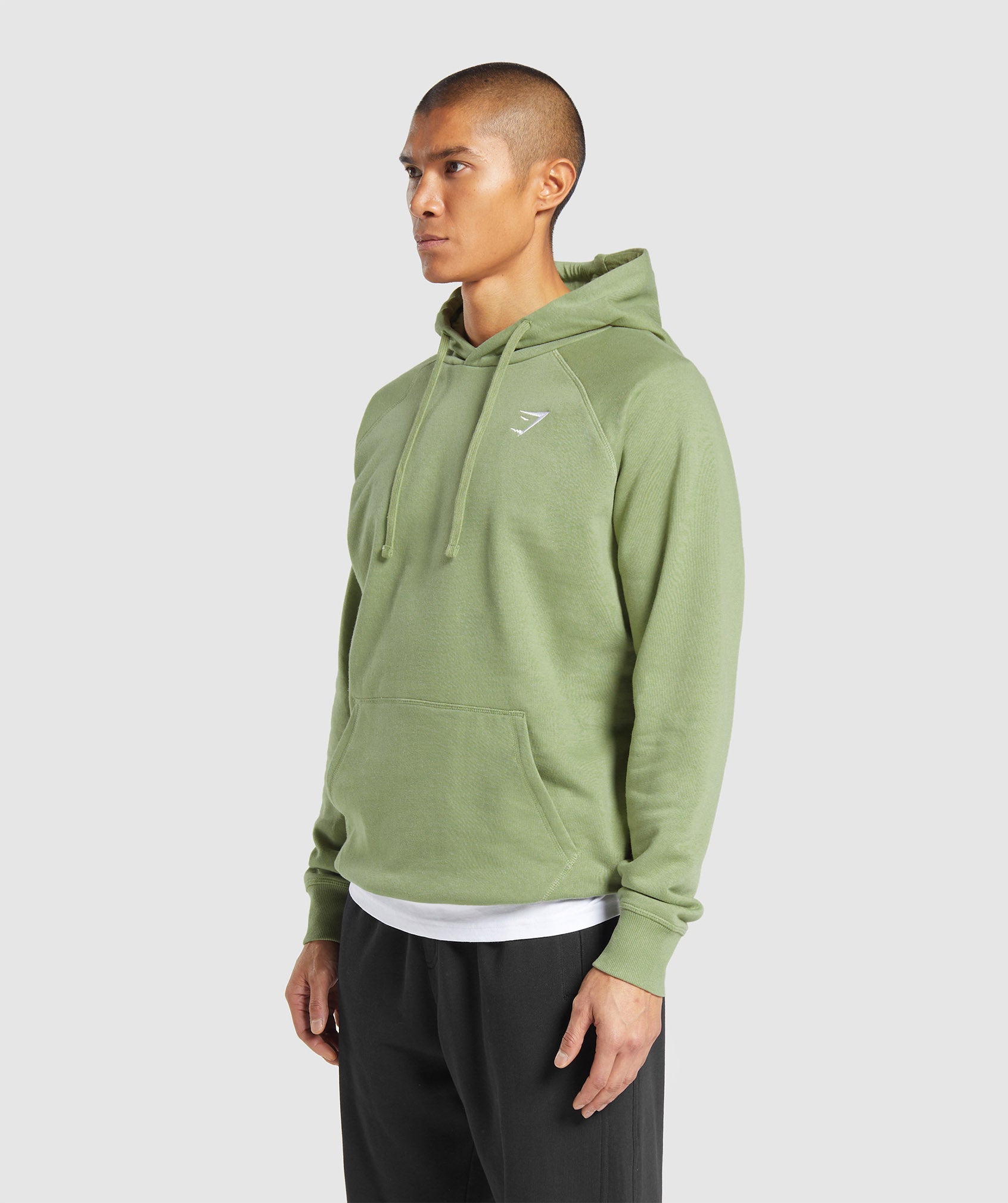 Crest Hoodie in Natural Sage Green - view 3
