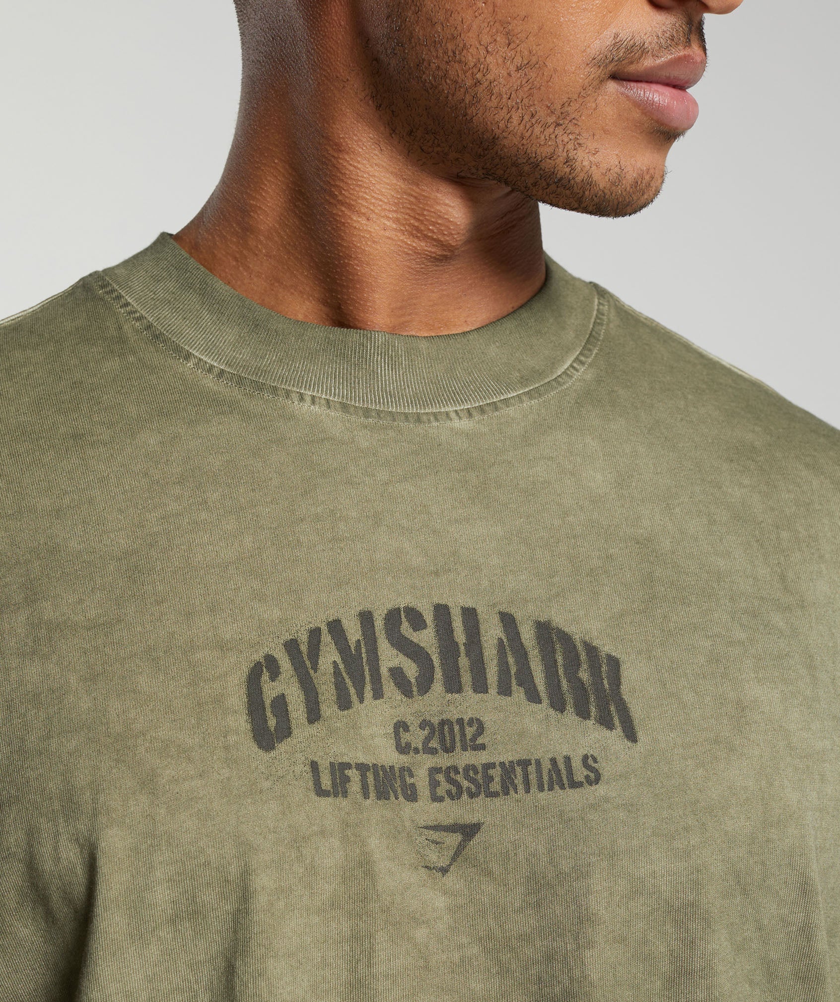 Heavyweight Washed T-Shirt in Utility Green - view 5