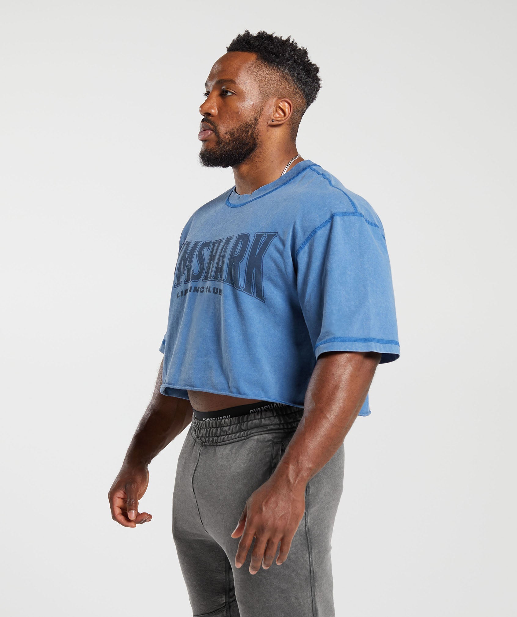 Heritage Washed Crop T-Shirt in Vintage Blue - view 3