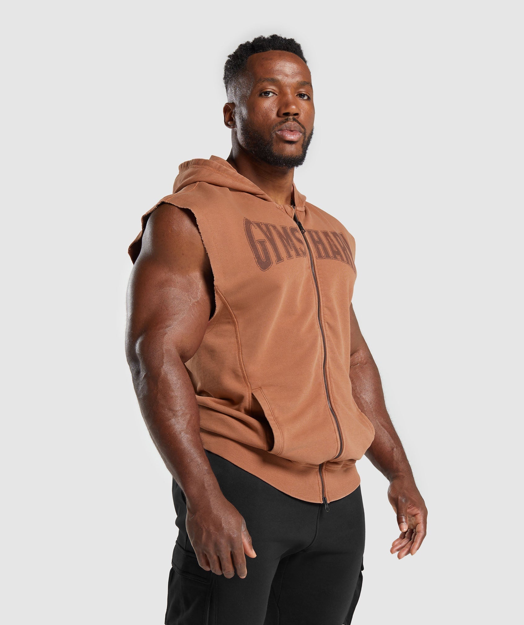 Heritage Washed Sleeveless Zip Up Hoodie in Canyon Brown - view 3